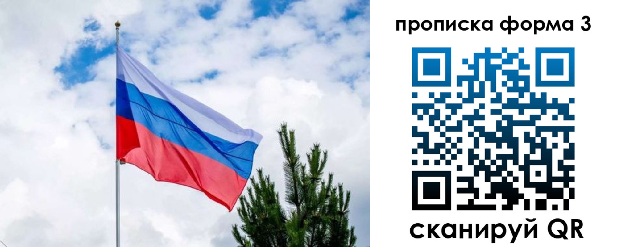 прописка для школы в Вельске